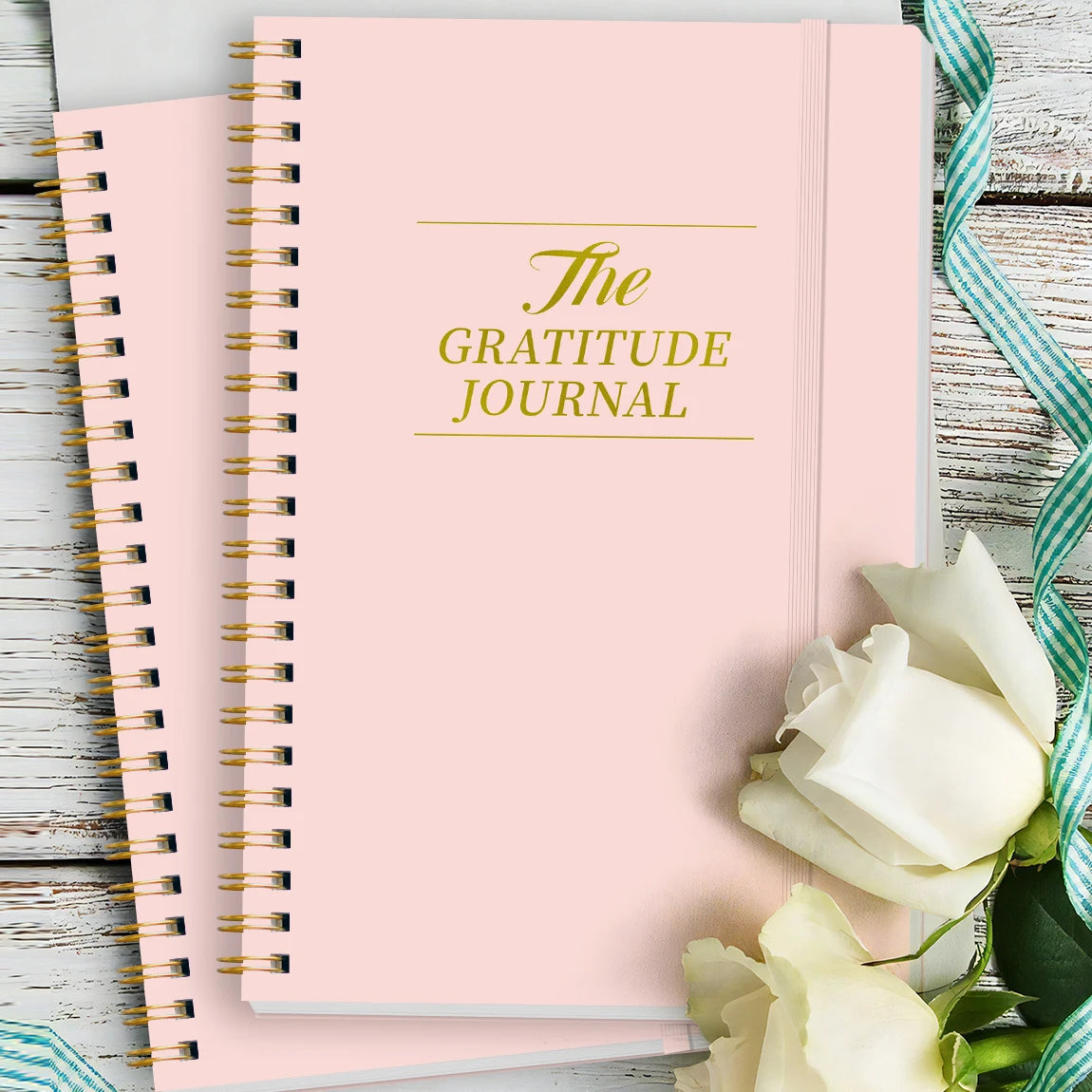 Guided Gratitude Journal
