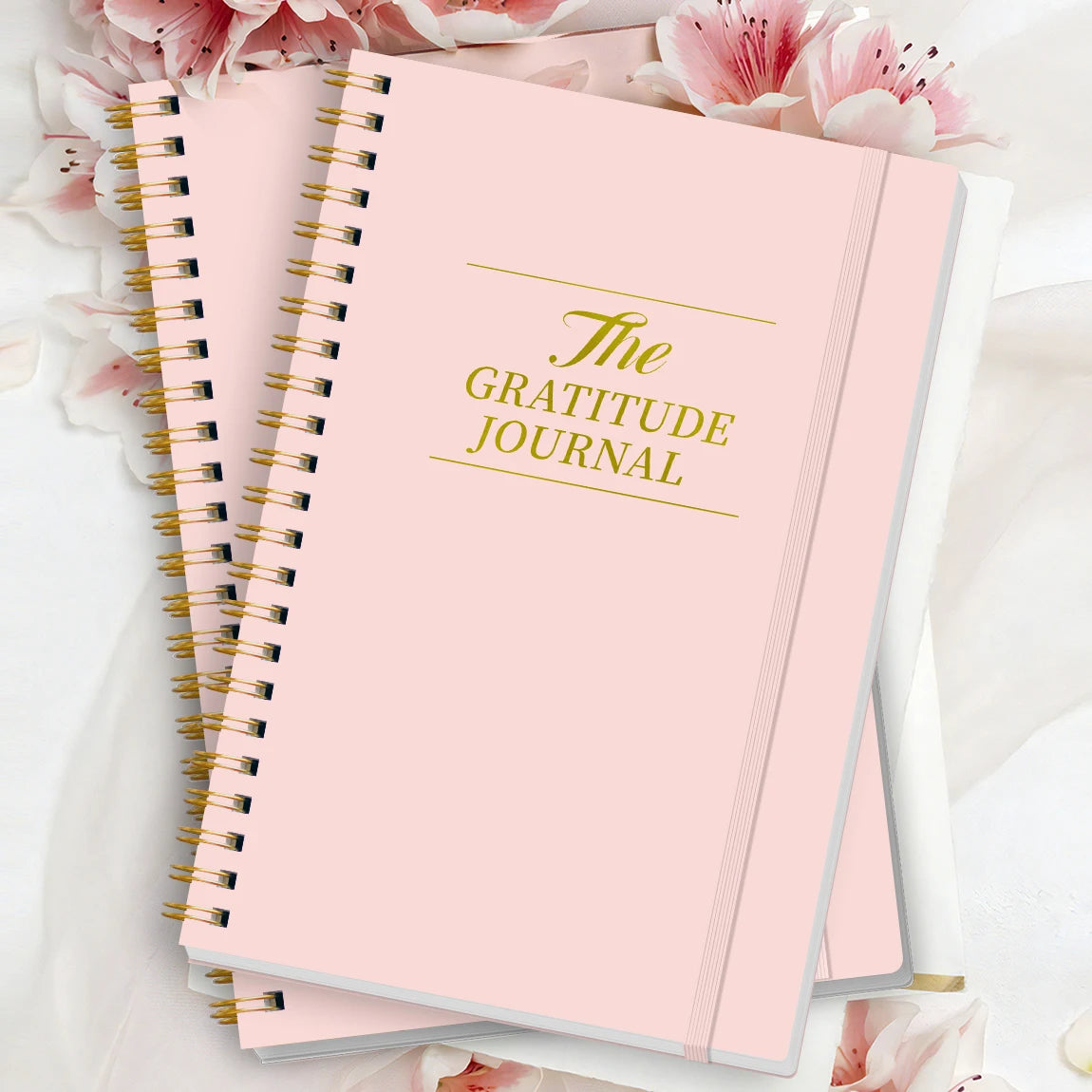 Guided Gratitude Journal